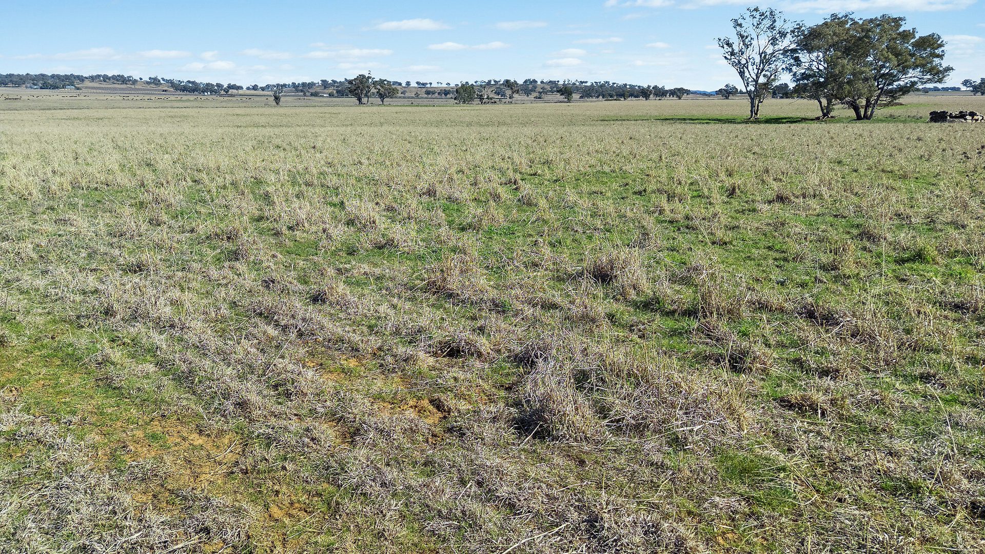 Sold -  Lots 39 & 118 Of 2611 Henry Lawson Drive - New Property in Gulgong - Real Estate by Stewart Adlington
