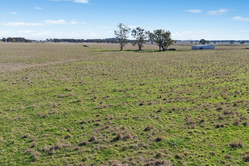 Sold -  Lots 39 & 118 Of 2611 Henry Lawson Drive - New Property in Gulgong - Real Estate by Stewart Adlington