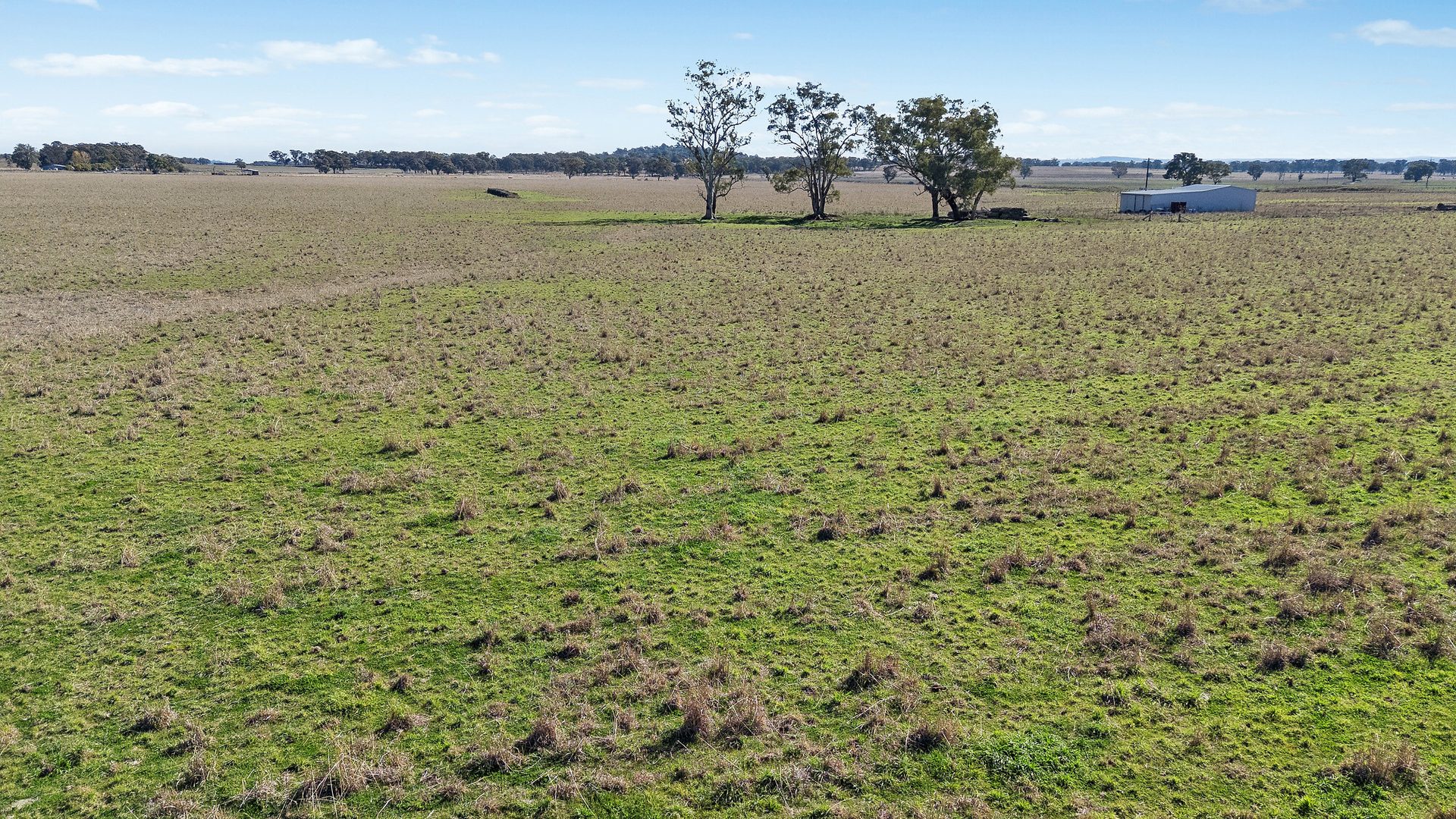 Sold -  Lots 39 & 118 Of 2611 Henry Lawson Drive - New Property in Gulgong - Real Estate by Stewart Adlington