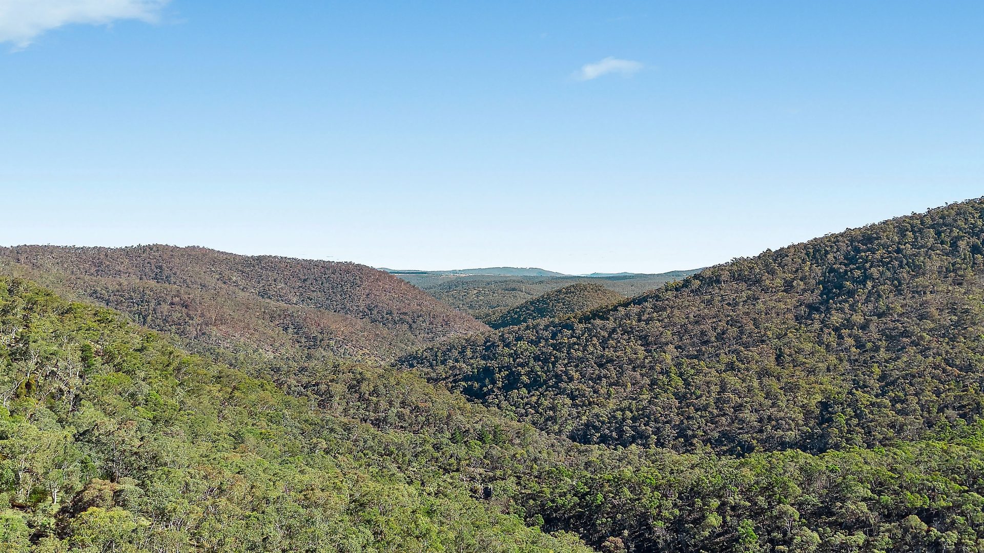 Sold - 94 Oakey Forest Road - New Property in Lithgow - Real Estate by Stacey Field