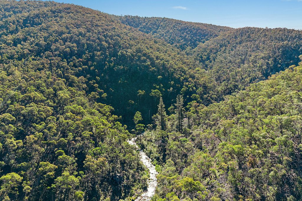 Sold - 94 Oakey Forest Road - New Property in Lithgow - Real Estate by Stacey Field