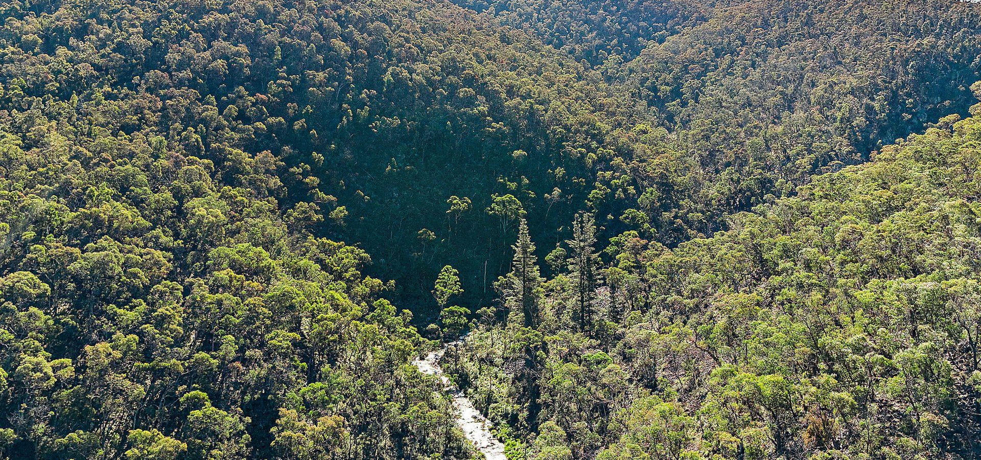 Sold - 94 Oakey Forest Road - New Property in Lithgow - Real Estate by Stacey Field