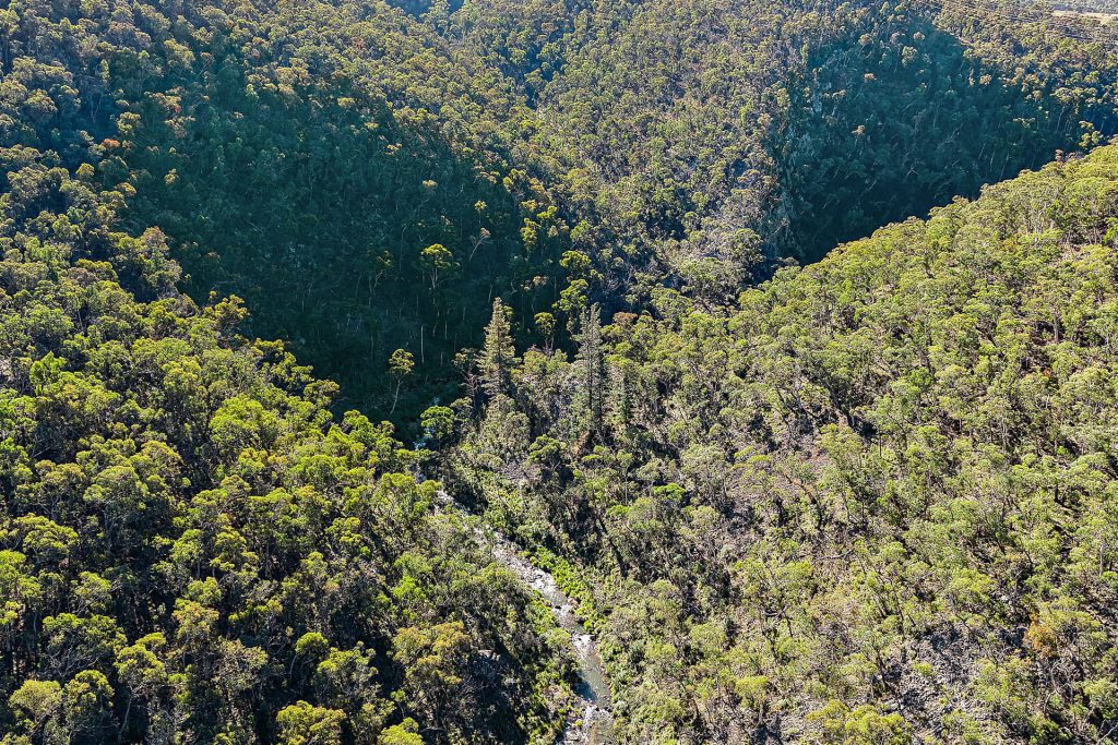 Sold - 94 Oakey Forest Road - New Property in Lithgow - Real Estate by Stacey Field