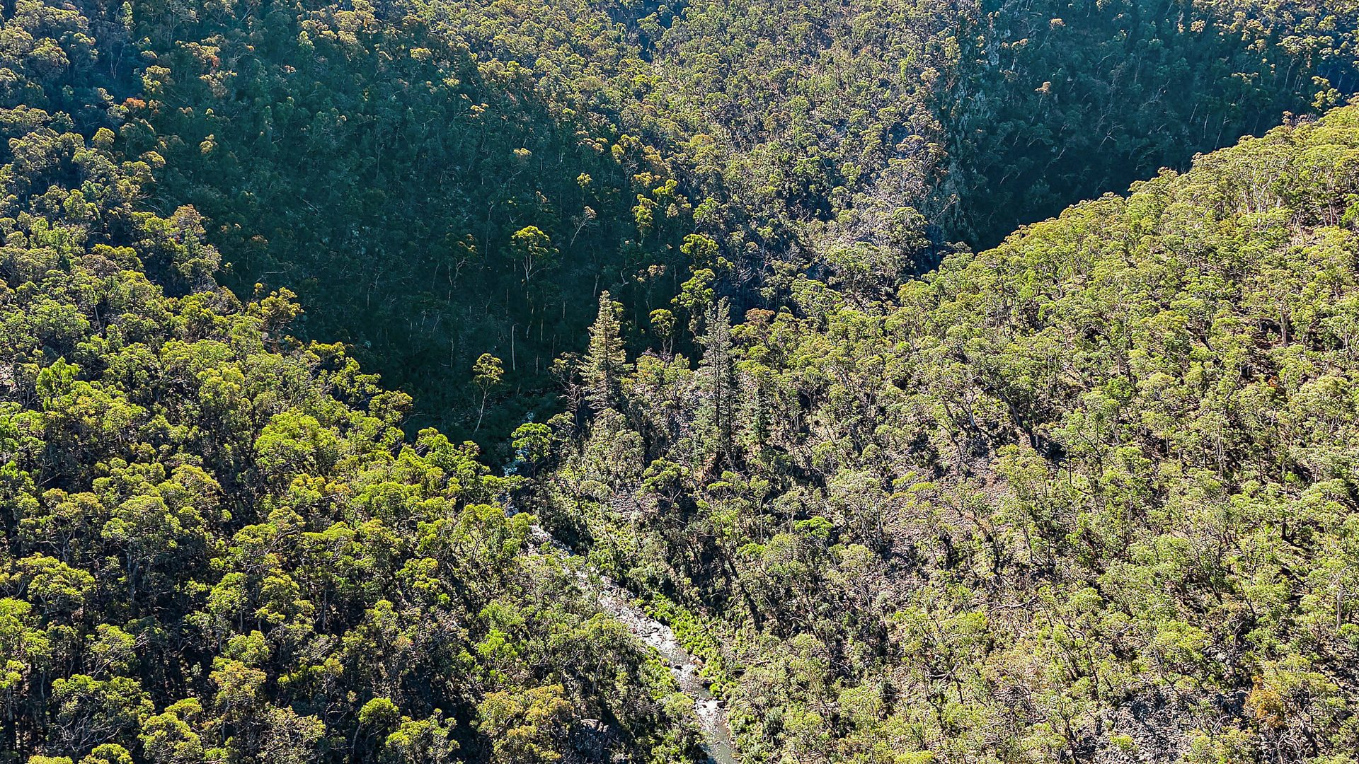 Sold - 94 Oakey Forest Road - New Property in Lithgow - Real Estate by Stacey Field