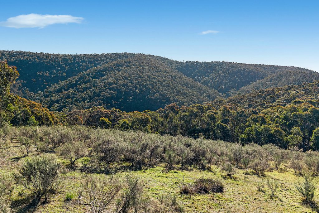 Sold - 94 Oakey Forest Road - New Property in Lithgow - Real Estate by Stacey Field