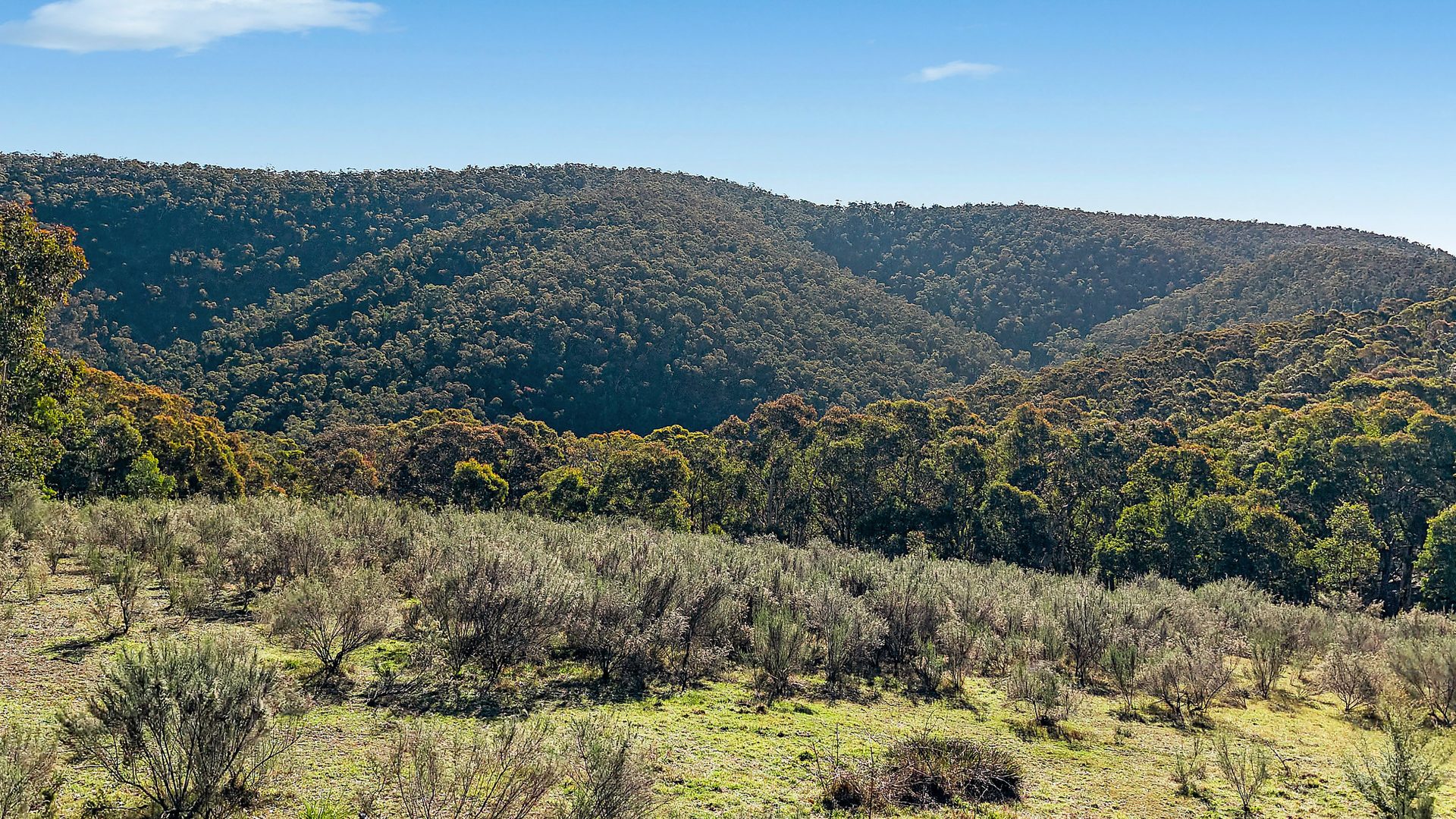 Sold - 94 Oakey Forest Road - New Property in Lithgow - Real Estate by Stacey Field