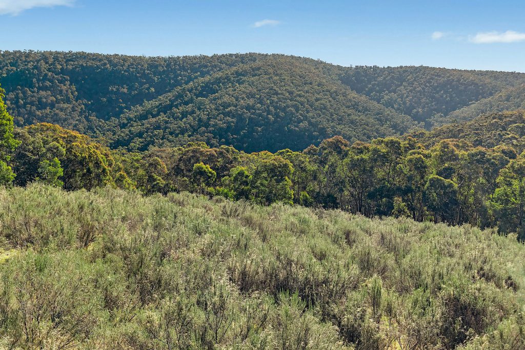 Sold - 94 Oakey Forest Road - New Property in Lithgow - Real Estate by Stacey Field