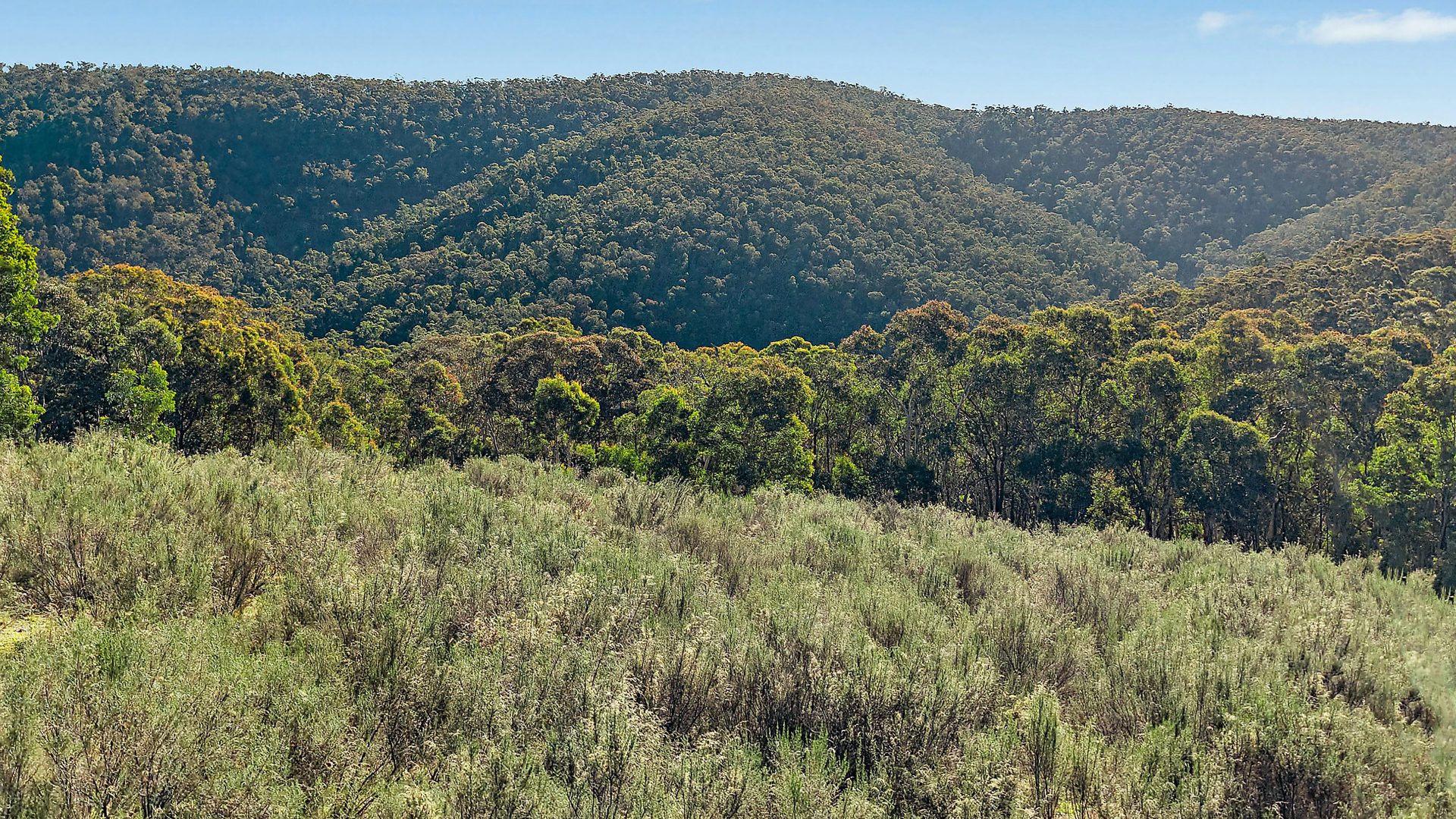 Sold - 94 Oakey Forest Road - New Property in Lithgow - Real Estate by Stacey Field
