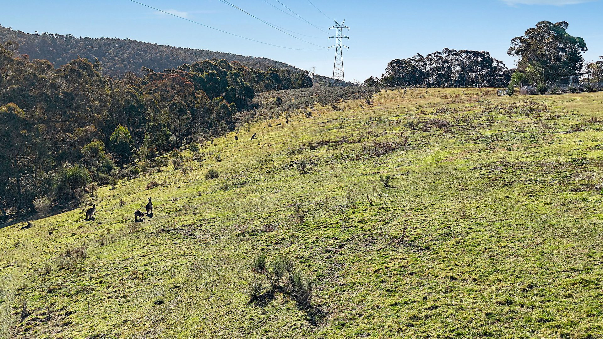 Sold - 94 Oakey Forest Road - New Property in Lithgow - Real Estate by Stacey Field
