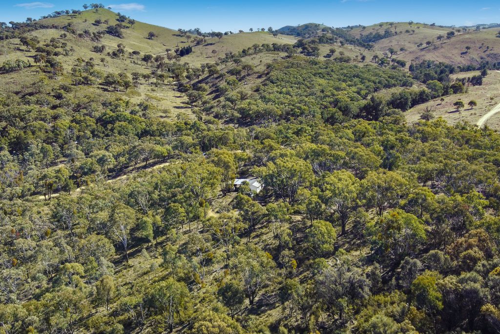 Sold - 206 Roberts Road - New Property in Mudgee - Real Estate by Stewart Adlington