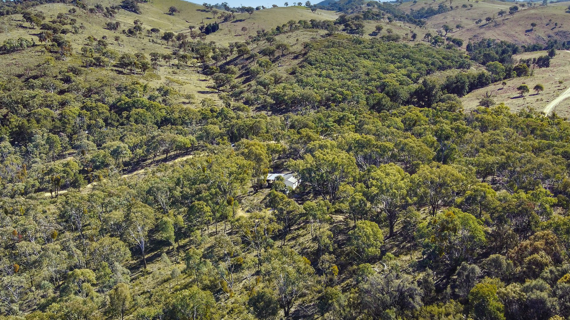 Sold - 206 Roberts Road - New Property in Mudgee - Real Estate by Stewart Adlington