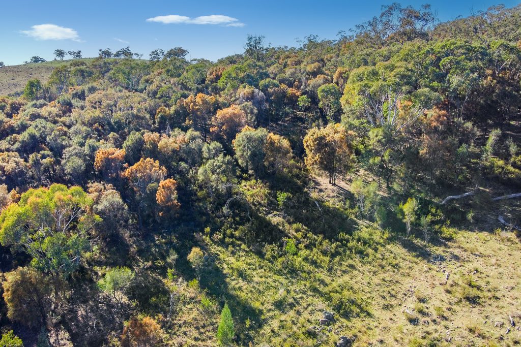 Sold - 206 Roberts Road - New Property in Mudgee - Real Estate by Stewart Adlington