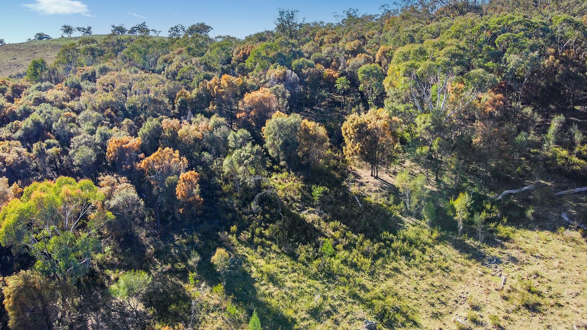 Sold - 206 Roberts Road - New Property in Mudgee - Real Estate by Stewart Adlington