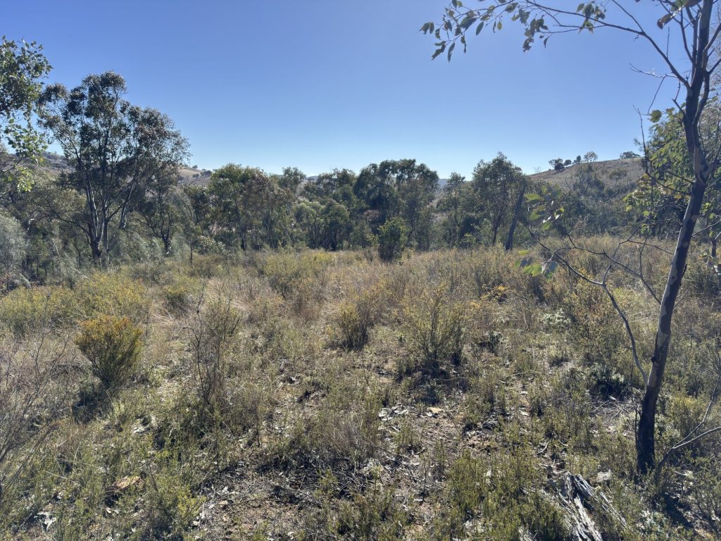 Sold - 206 Roberts Road - New Property in Mudgee - Real Estate by Stewart Adlington