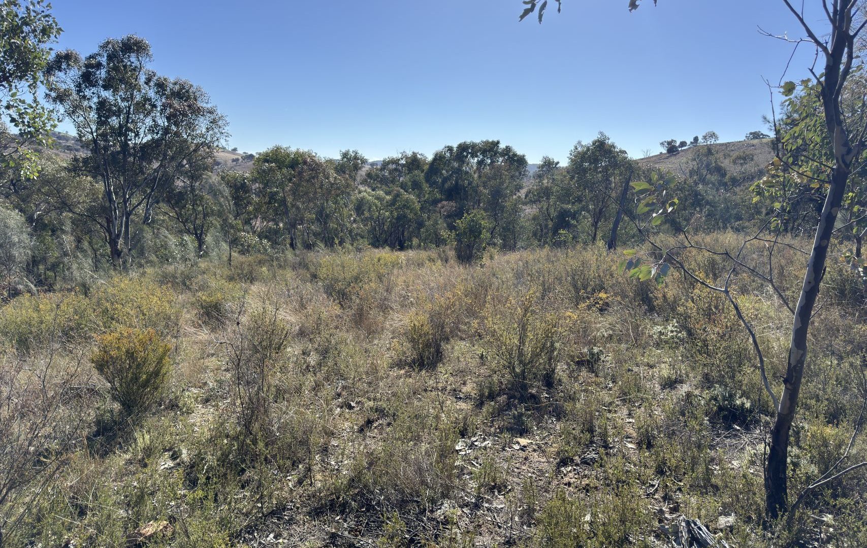 Sold - 206 Roberts Road - New Property in Mudgee - Real Estate by Stewart Adlington