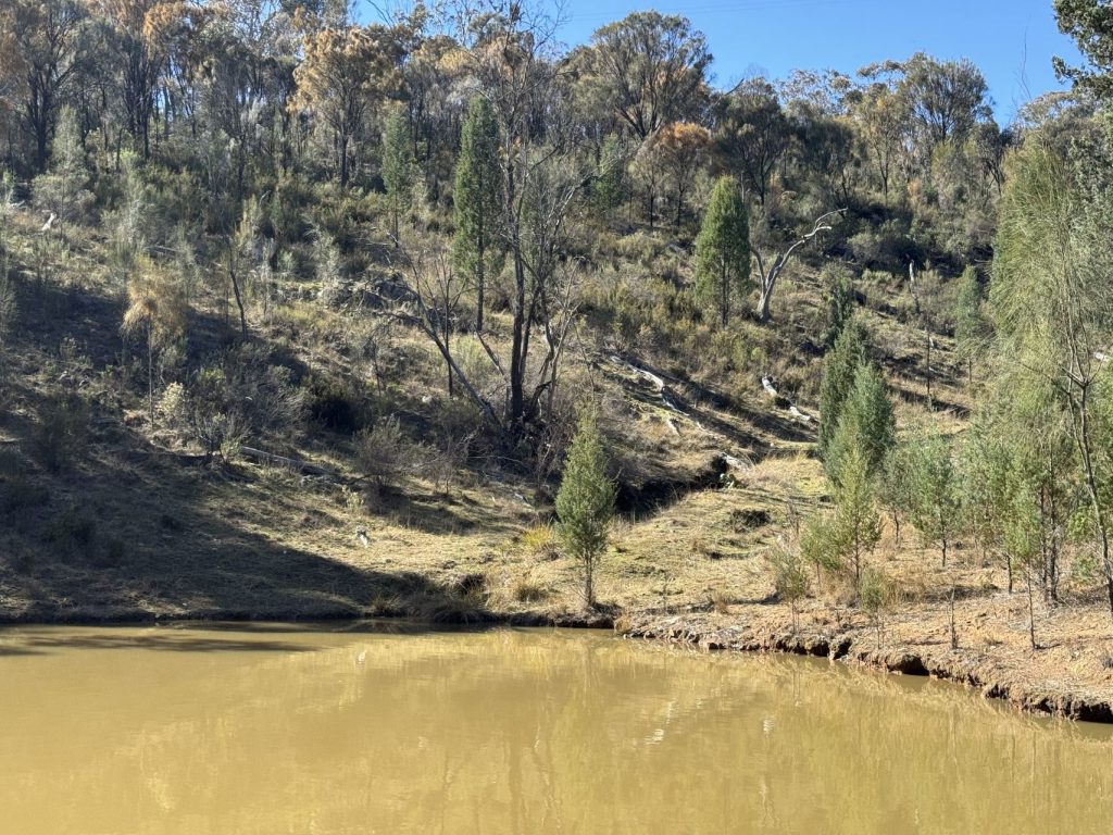 Sold - 206 Roberts Road - New Property in Mudgee - Real Estate by Stewart Adlington