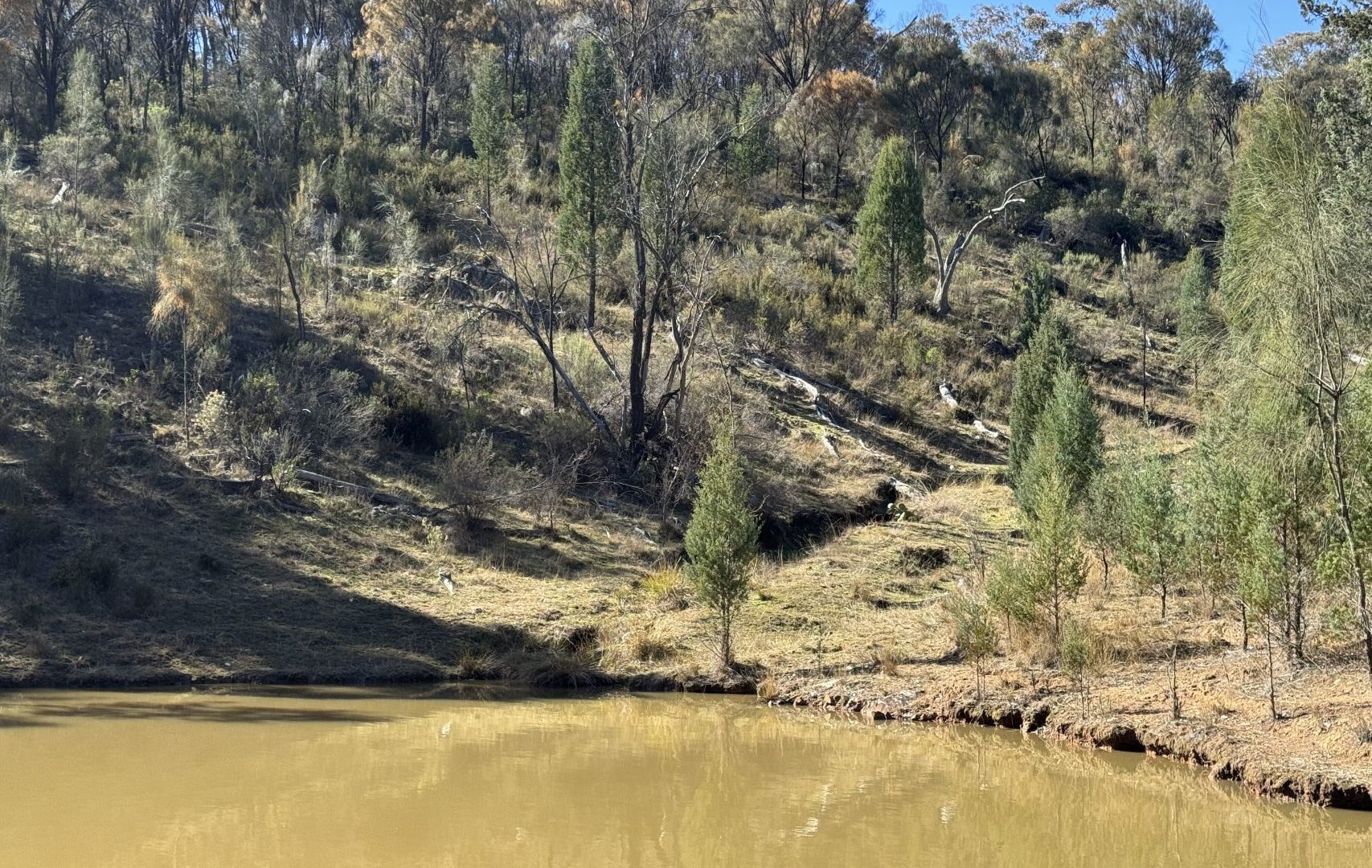 Sold - 206 Roberts Road - New Property in Mudgee - Real Estate by Stewart Adlington