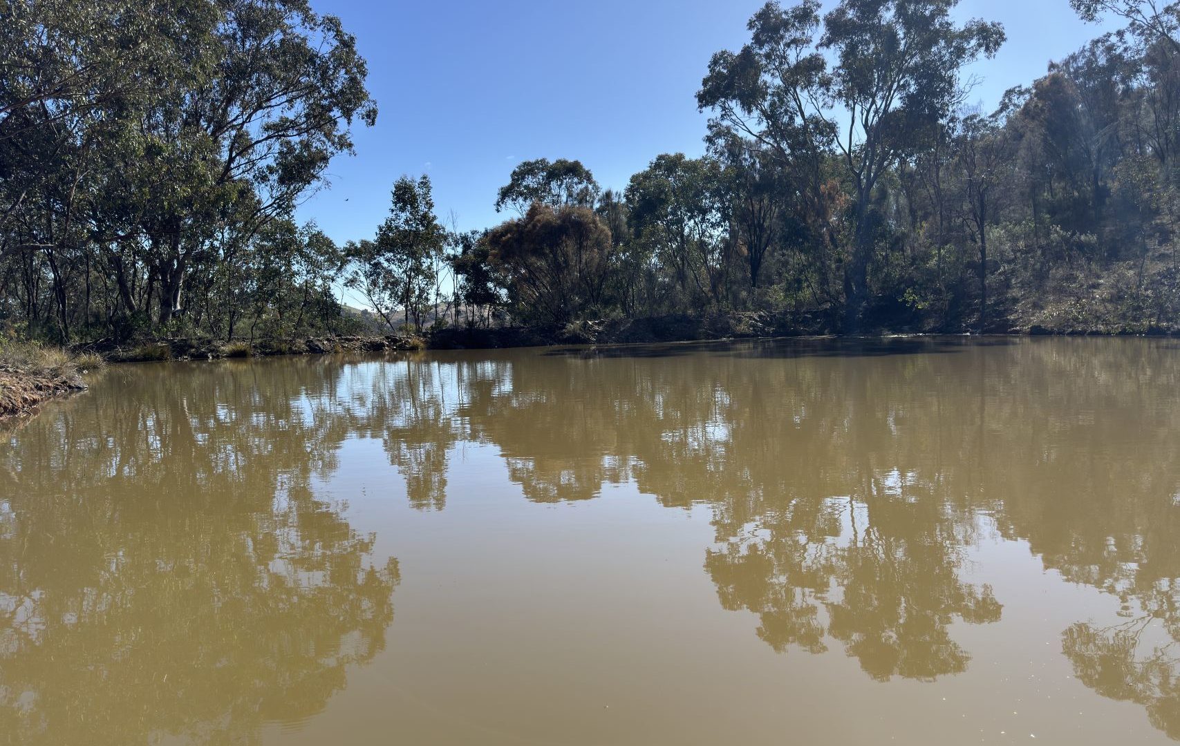 Sold - 206 Roberts Road - New Property in Mudgee - Real Estate by Stewart Adlington