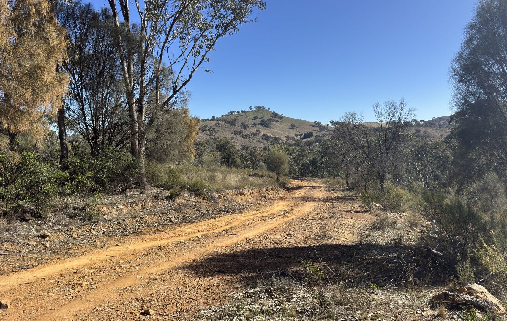 Sold - 206 Roberts Road - New Property in Mudgee - Real Estate by Stewart Adlington