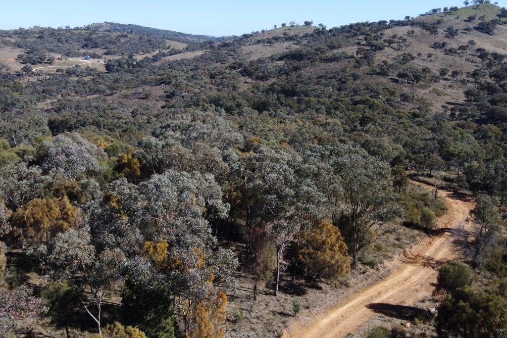 Sold - 206 Roberts Road - New Property in Mudgee - Real Estate by Stewart Adlington