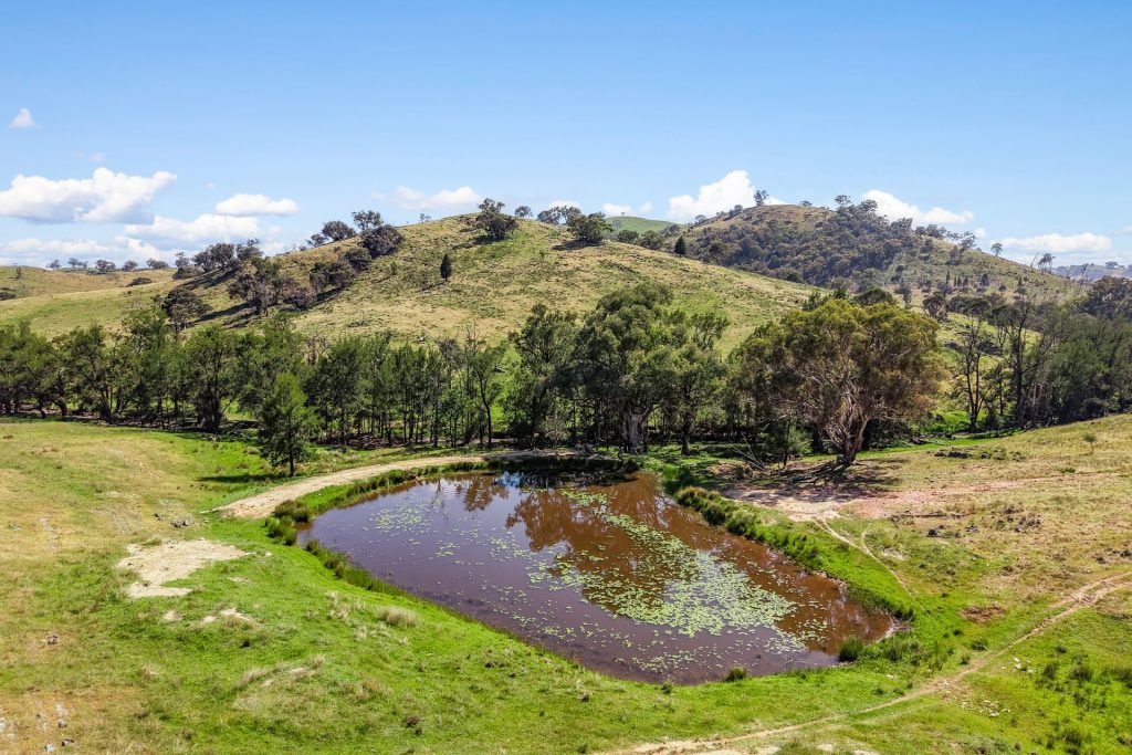 Sold - 379 Windeyer Road - New Property in Mudgee - Real Estate by Stewart Adlington