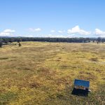 108 Stubbo Road Gulgong NSW 2852 AUS