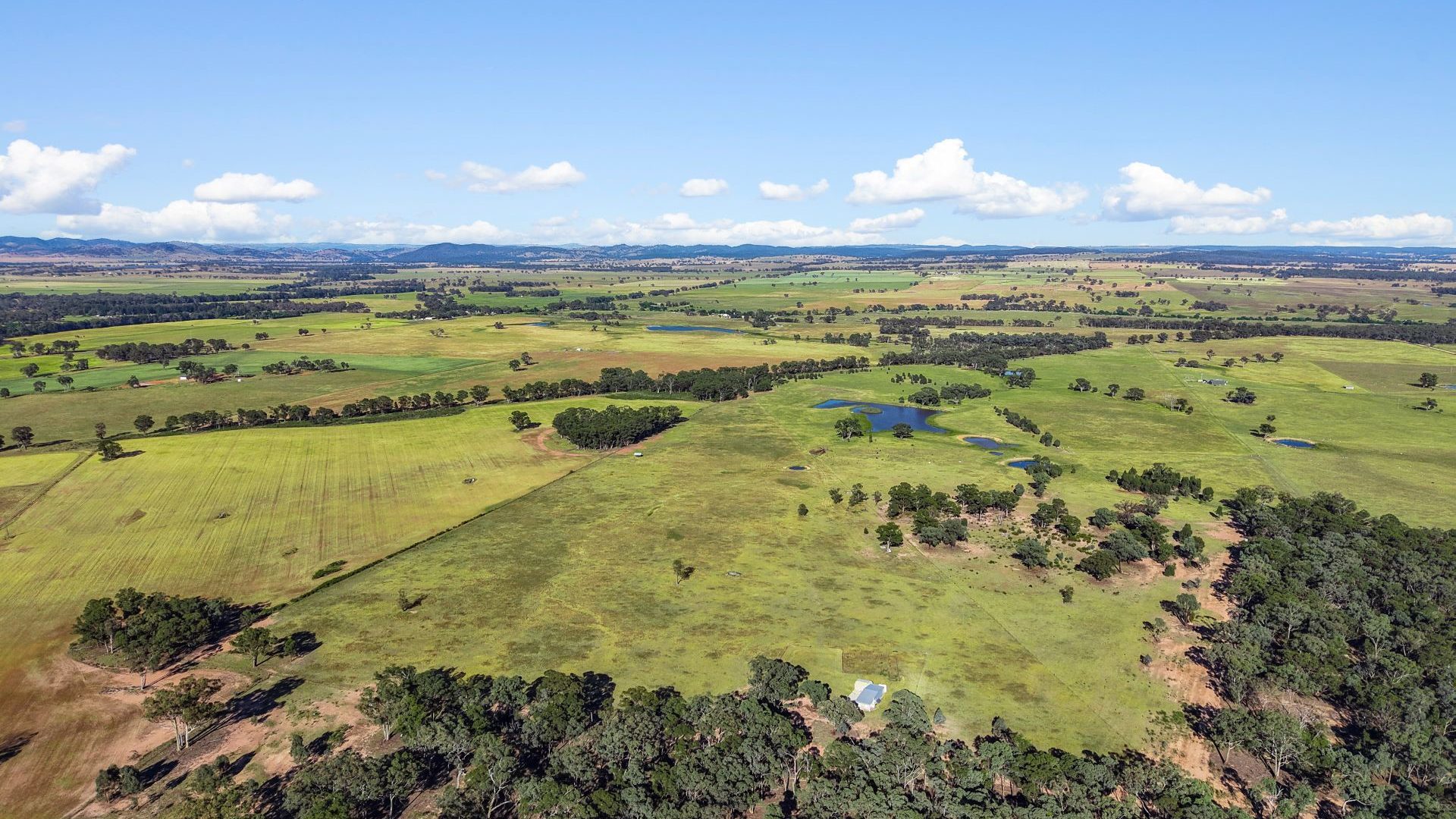 For Sale - 108 Stubbo Road - New Property in Gulgong - Real Estate by Adam Sutherland