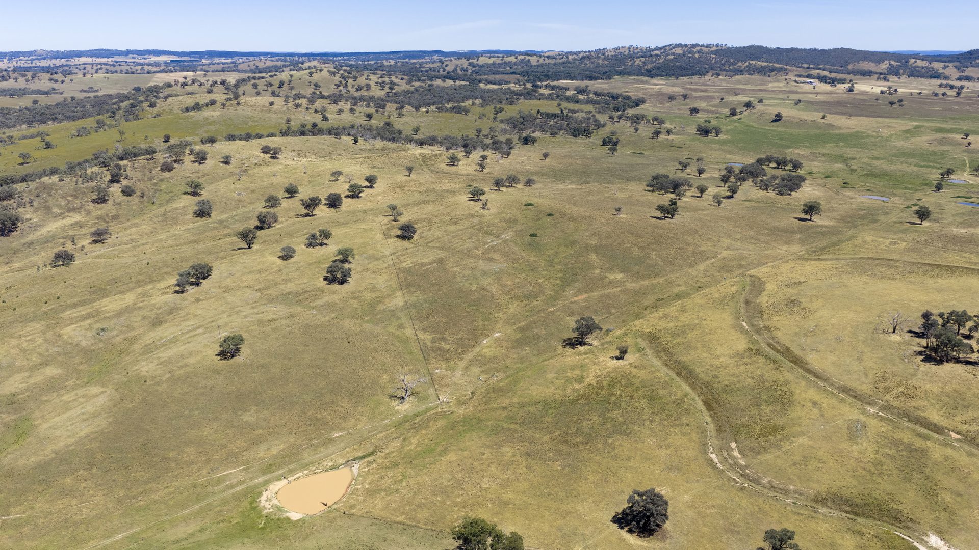For Sale -  Lots 46 & 70, 499 Mebul Road - New Property in Gulgong - Real Estate by Adam Woods