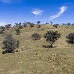 Lots 46 & 70, 499 Mebul Road Gulgong NSW 2852 AUS
