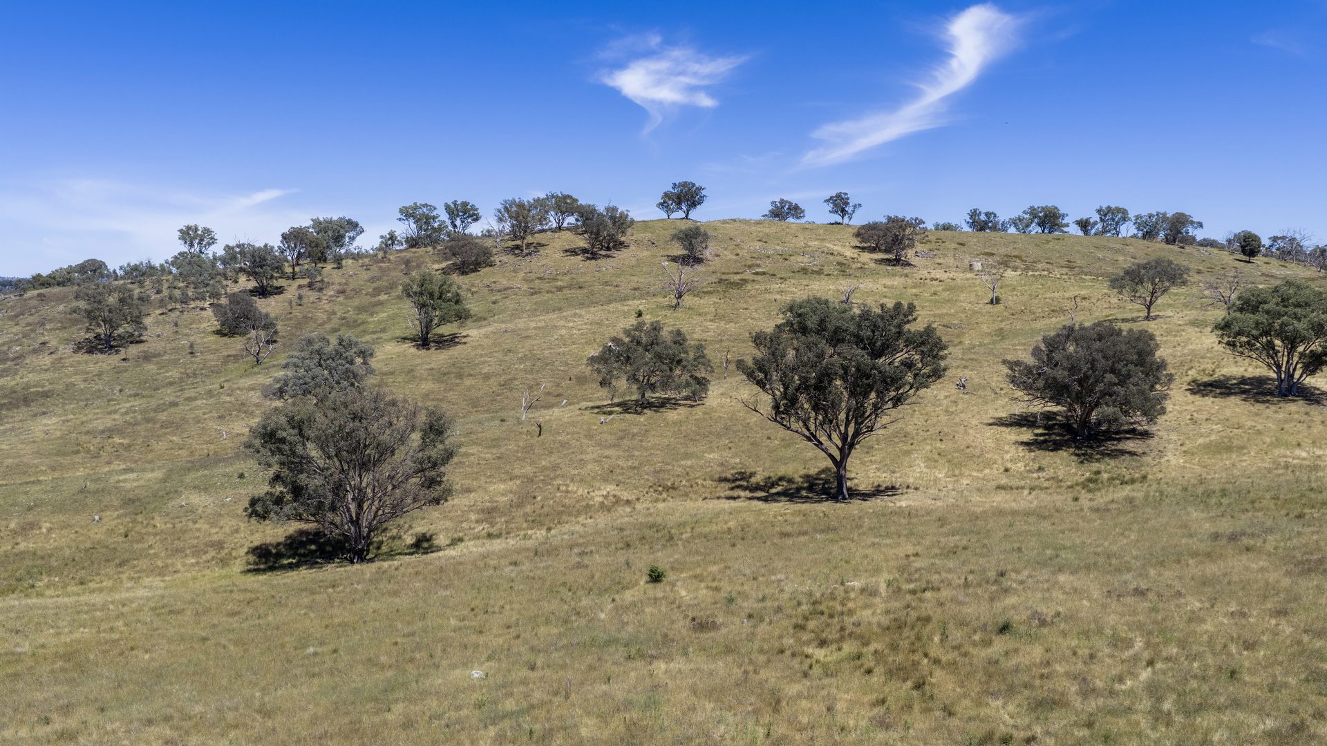 For Sale -  Lots 46 & 70, 499 Mebul Road - New Property in Gulgong - Real Estate by Adam Woods