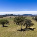 Lots 46 & 70, 499 Mebul Road Gulgong NSW 2852 AUS