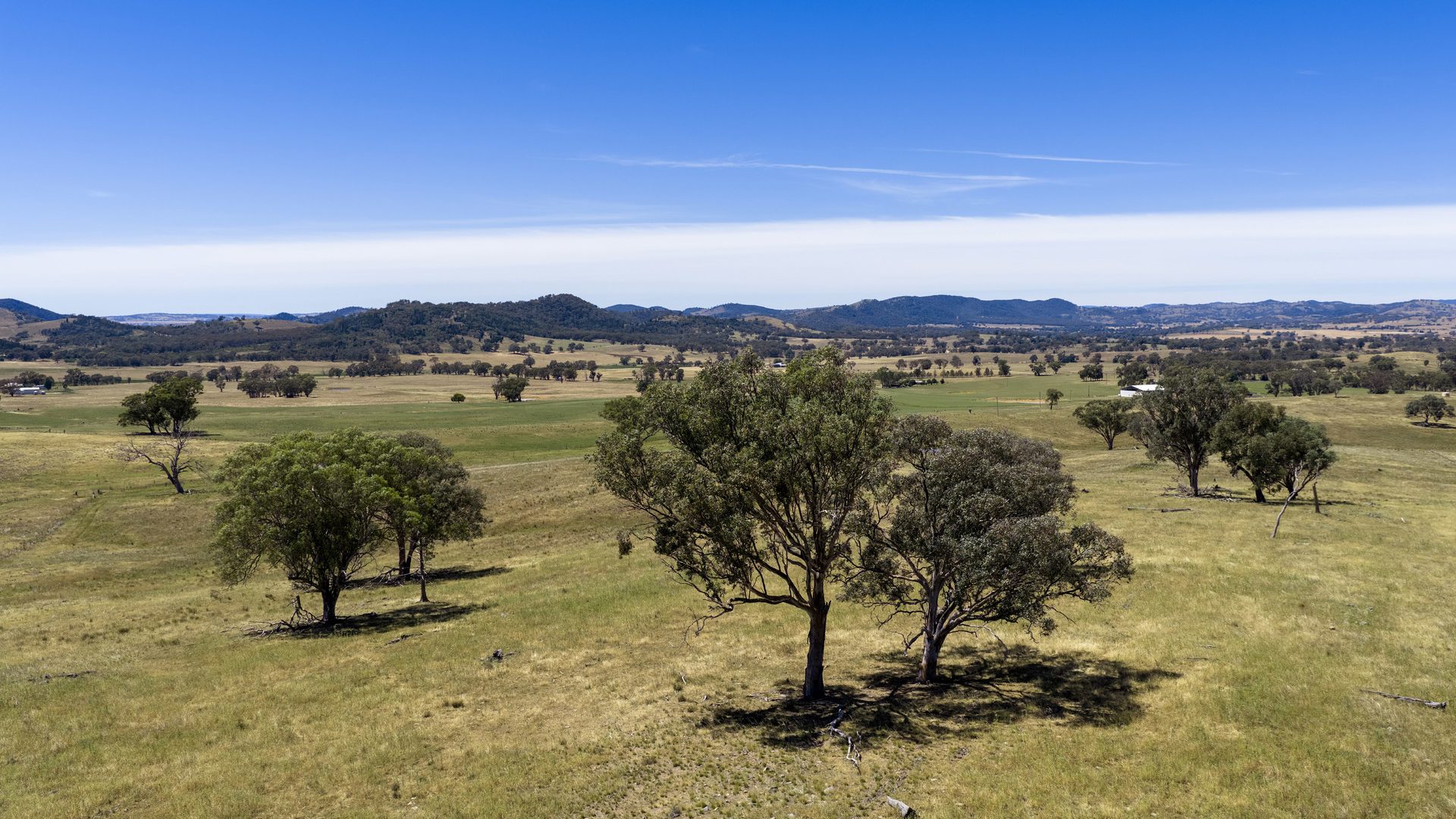 For Sale -  Lots 46 & 70, 499 Mebul Road - New Property in Gulgong - Real Estate by Adam Woods