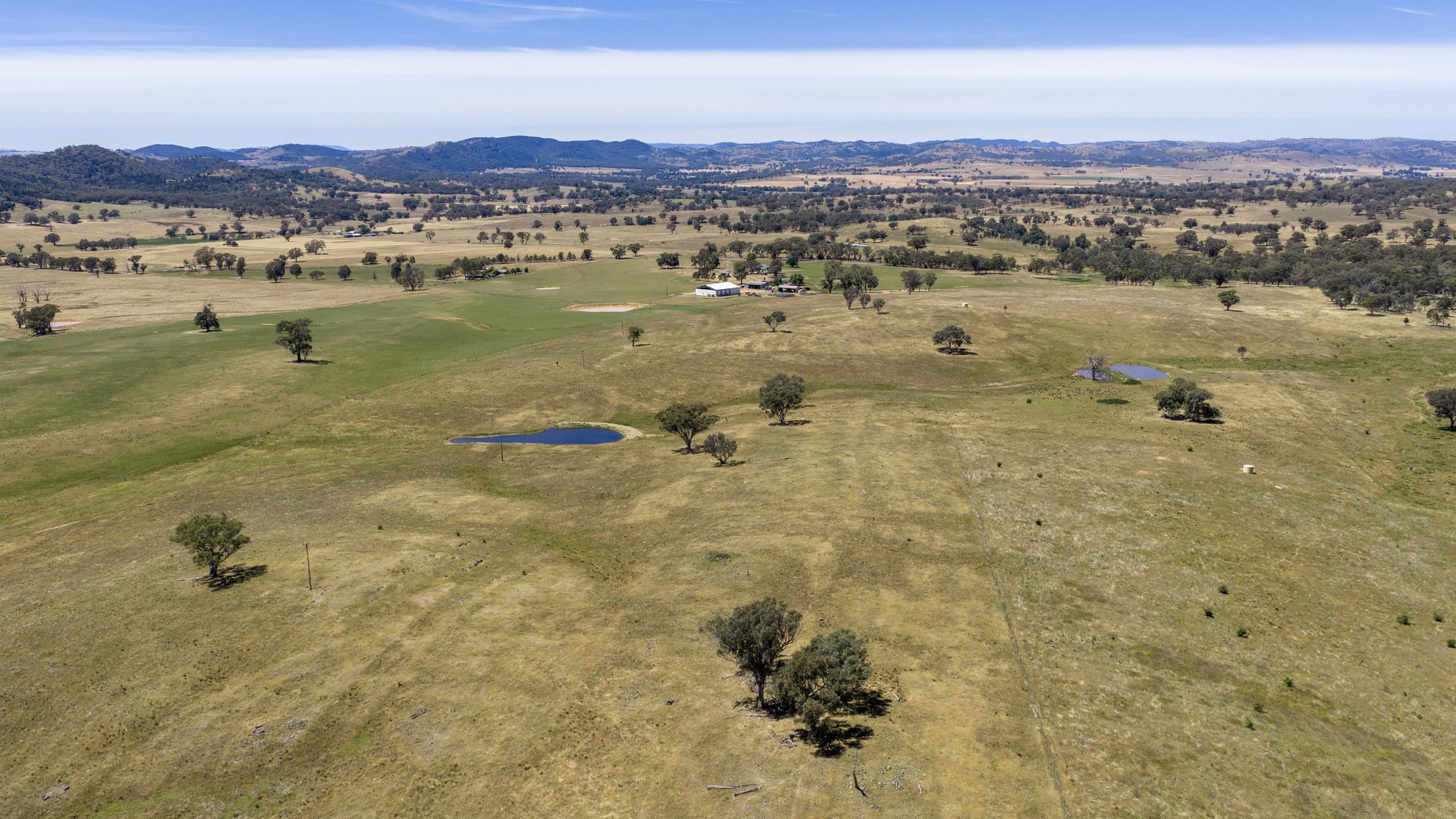 For Sale -  Lots 46 & 70, 499 Mebul Road - New Property in Gulgong - Real Estate by Adam Woods