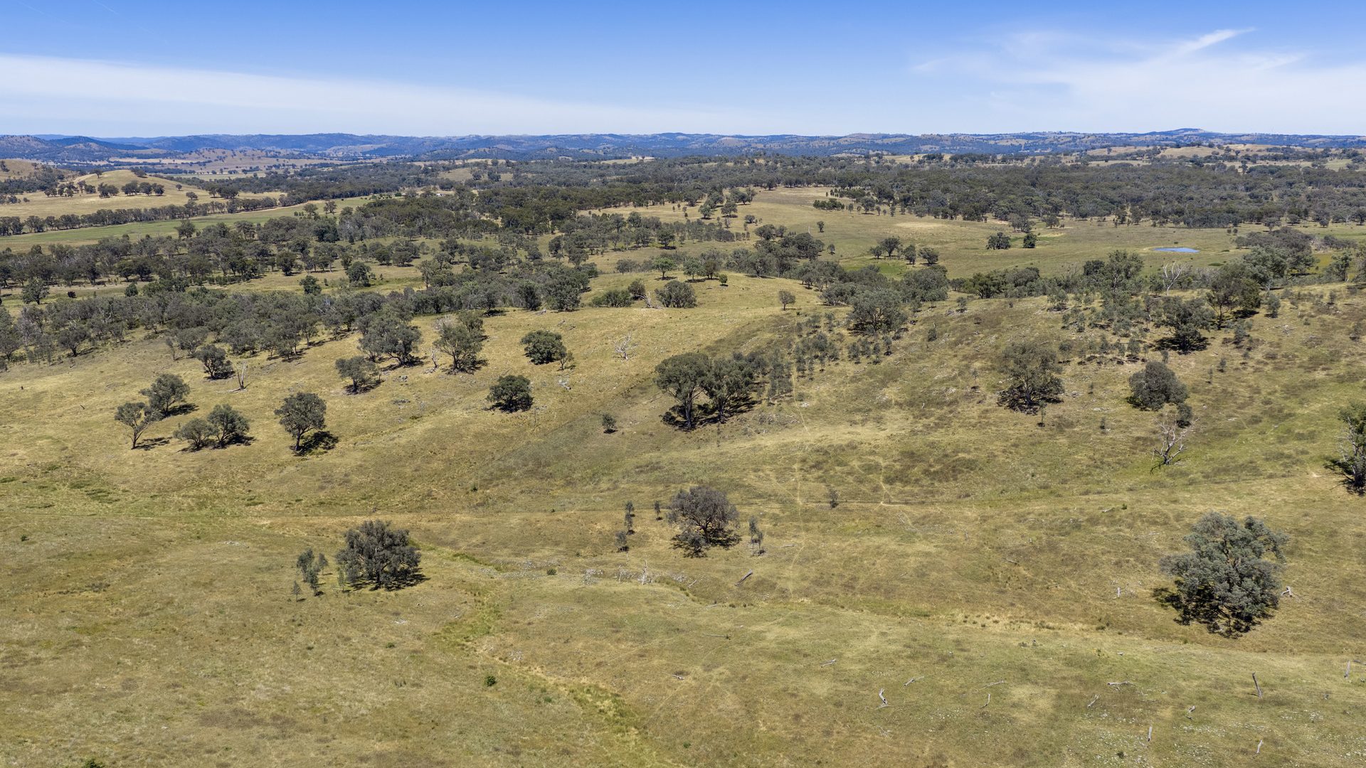 For Sale -  Lots 46 & 70, 499 Mebul Road - New Property in Gulgong - Real Estate by Adam Woods