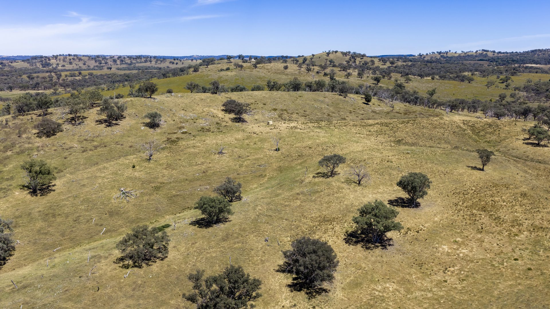 For Sale -  Lots 46 & 70, 499 Mebul Road - New Property in Gulgong - Real Estate by Adam Woods