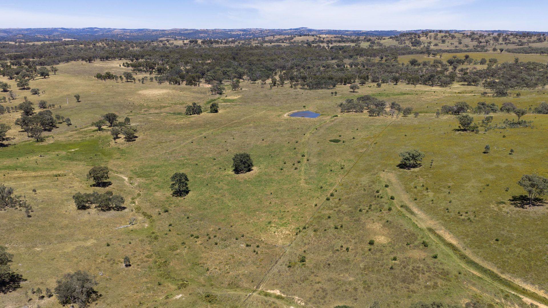 For Sale -  Lots 46 & 70, 499 Mebul Road - New Property in Gulgong - Real Estate by Adam Woods