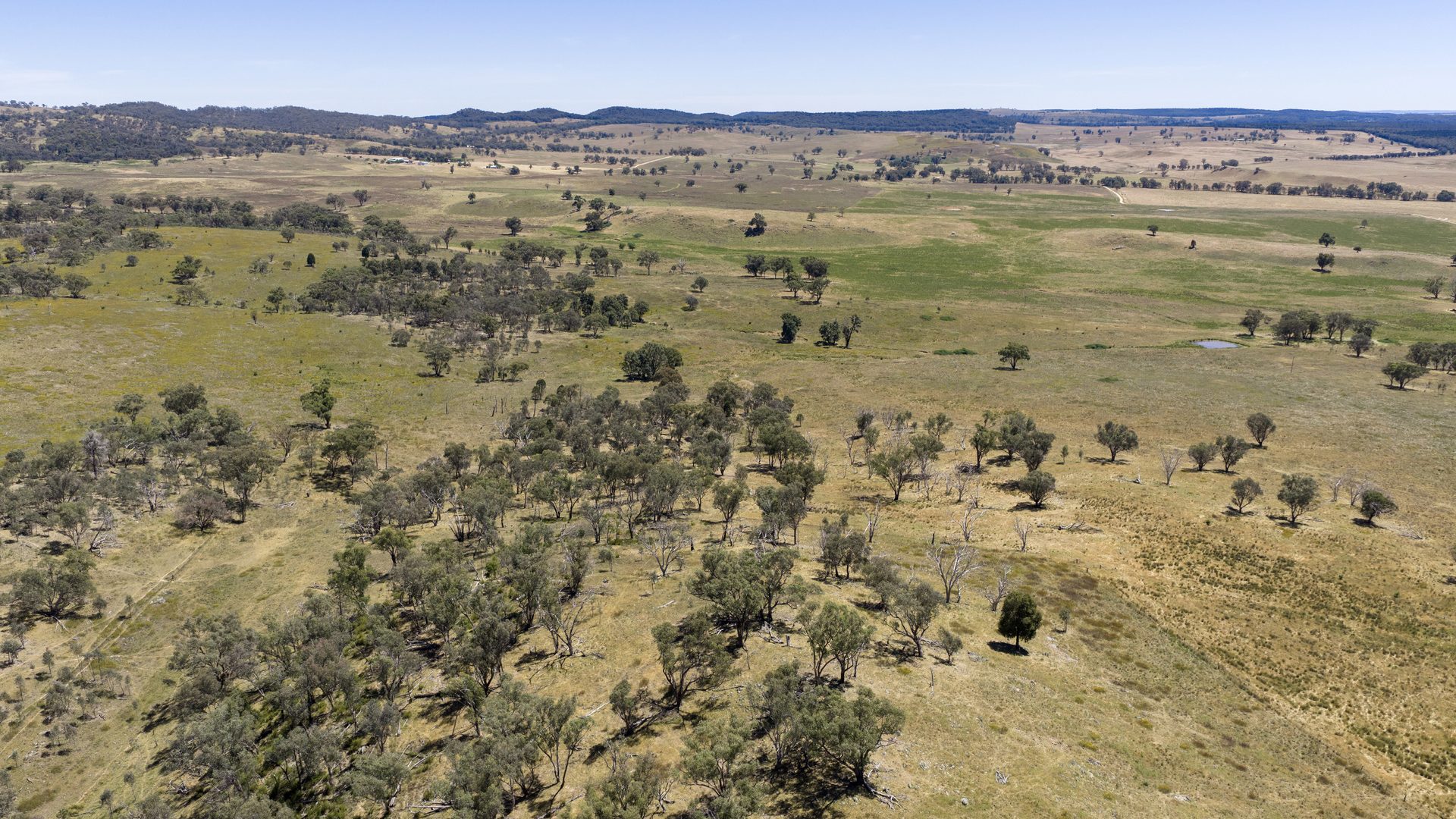 For Sale -  Lots 46 & 70, 499 Mebul Road - New Property in Gulgong - Real Estate by Adam Woods
