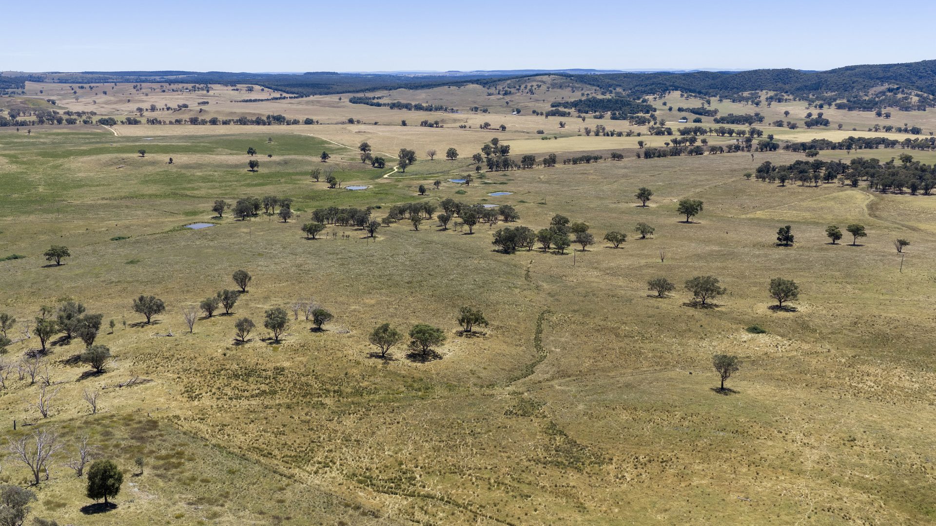For Sale -  Lots 46 & 70, 499 Mebul Road - New Property in Gulgong - Real Estate by Adam Woods