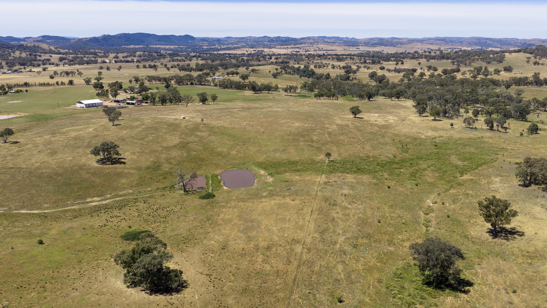 For Sale -  Lots 46 & 70, 499 Mebul Road - New Property in Gulgong - Real Estate by Adam Woods