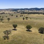 Lots 46 & 70, 499 Mebul Road Gulgong NSW 2852 AUS