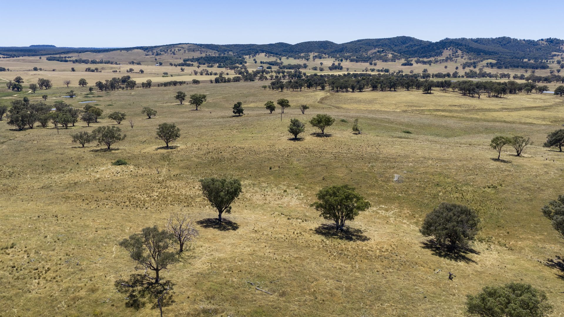 For Sale -  Lots 46 & 70, 499 Mebul Road - New Property in Gulgong - Real Estate by Adam Woods