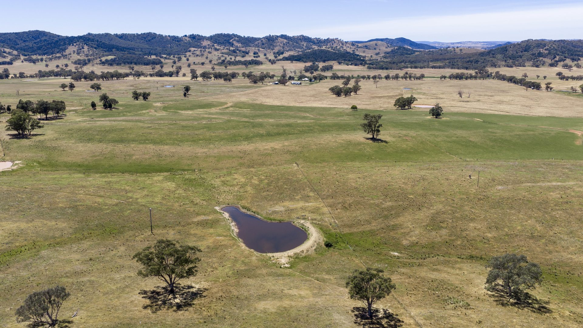 For Sale -  Lots 46 & 70, 499 Mebul Road - New Property in Gulgong - Real Estate by Adam Woods