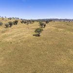 Lots 46 & 70, 499 Mebul Road Gulgong NSW 2852 AUS