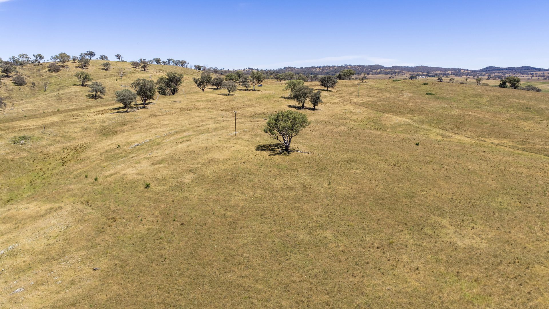 For Sale -  Lots 46 & 70, 499 Mebul Road - New Property in Gulgong - Real Estate by Adam Woods