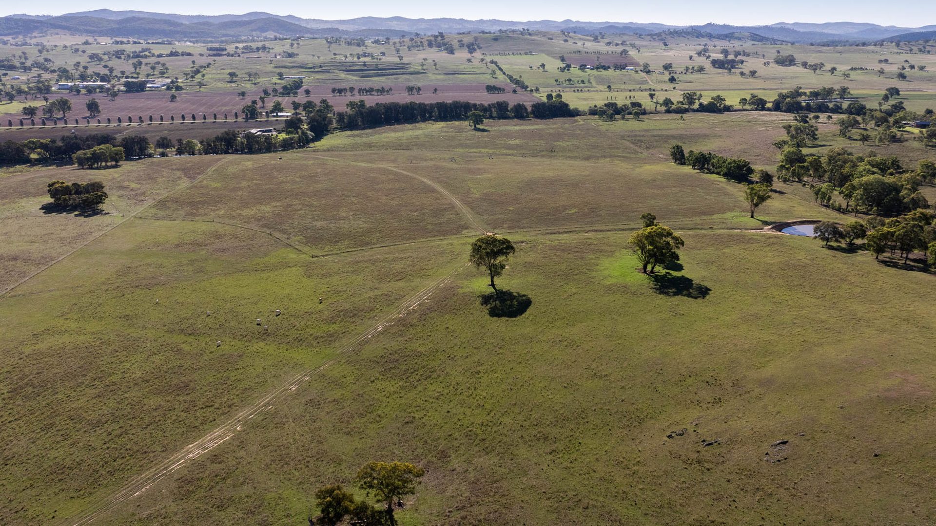 Sold - 321 Tinja Lane - New Property in Mudgee - Real Estate by Adam Woods