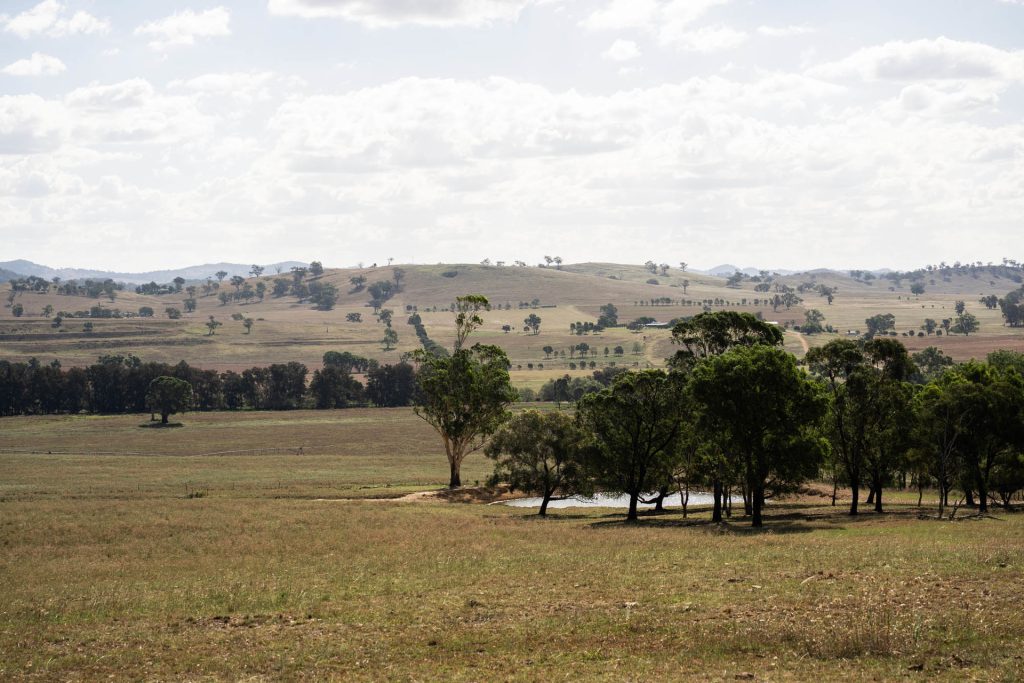 Sold - 321 Tinja Lane - New Property in Mudgee - Real Estate by Adam Woods