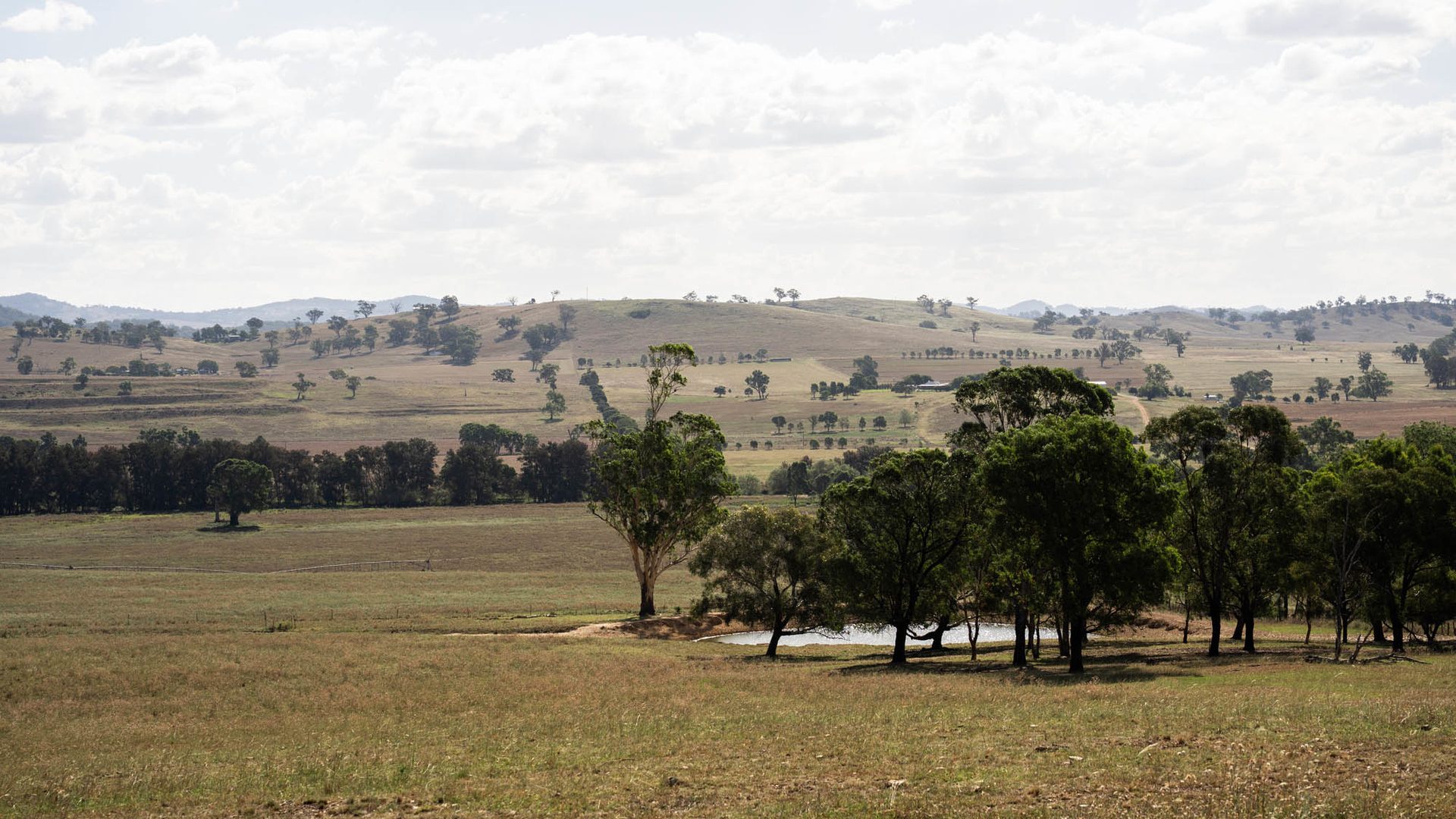 Sold - 321 Tinja Lane - New Property in Mudgee - Real Estate by Adam Woods