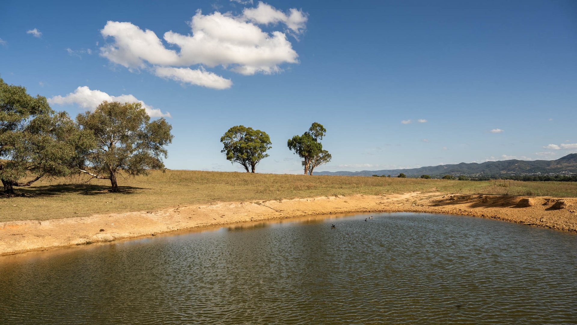 Sold - 321 Tinja Lane - New Property in Mudgee - Real Estate by Adam Woods