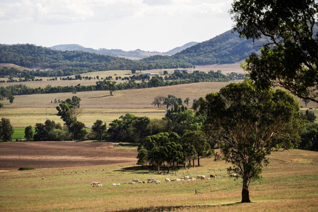 Sold - 321 Tinja Lane - New Property in Mudgee - Real Estate by Adam Woods