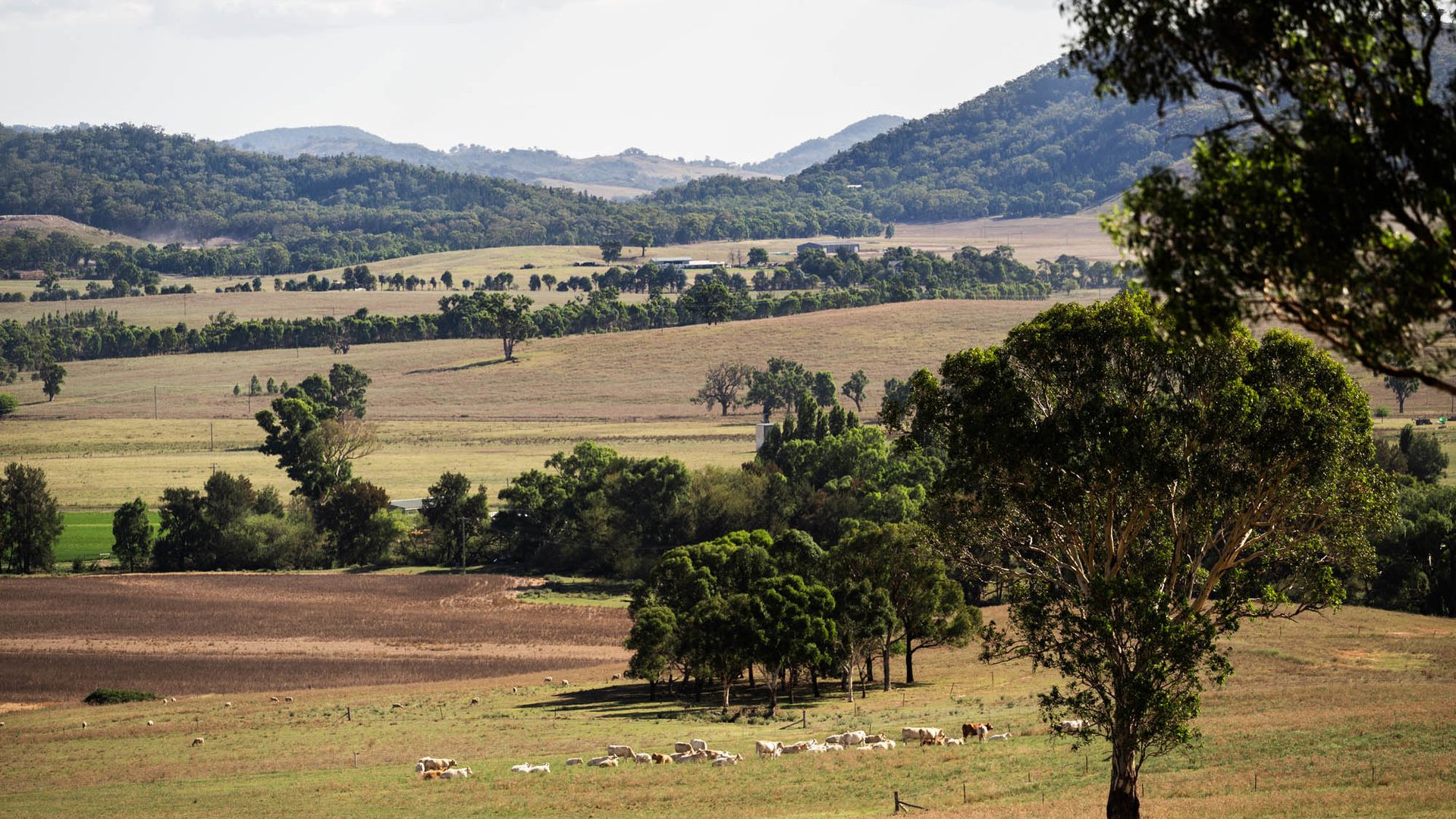 Sold - 321 Tinja Lane - New Property in Mudgee - Real Estate by Adam Woods
